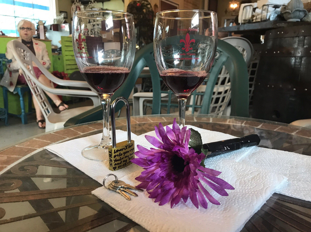 Tarpon Springs Castle Winery-塔彭斯普林斯必去景点