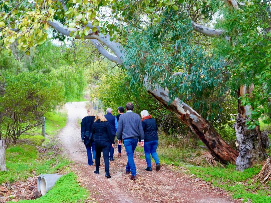 Barossa Walks景点图片