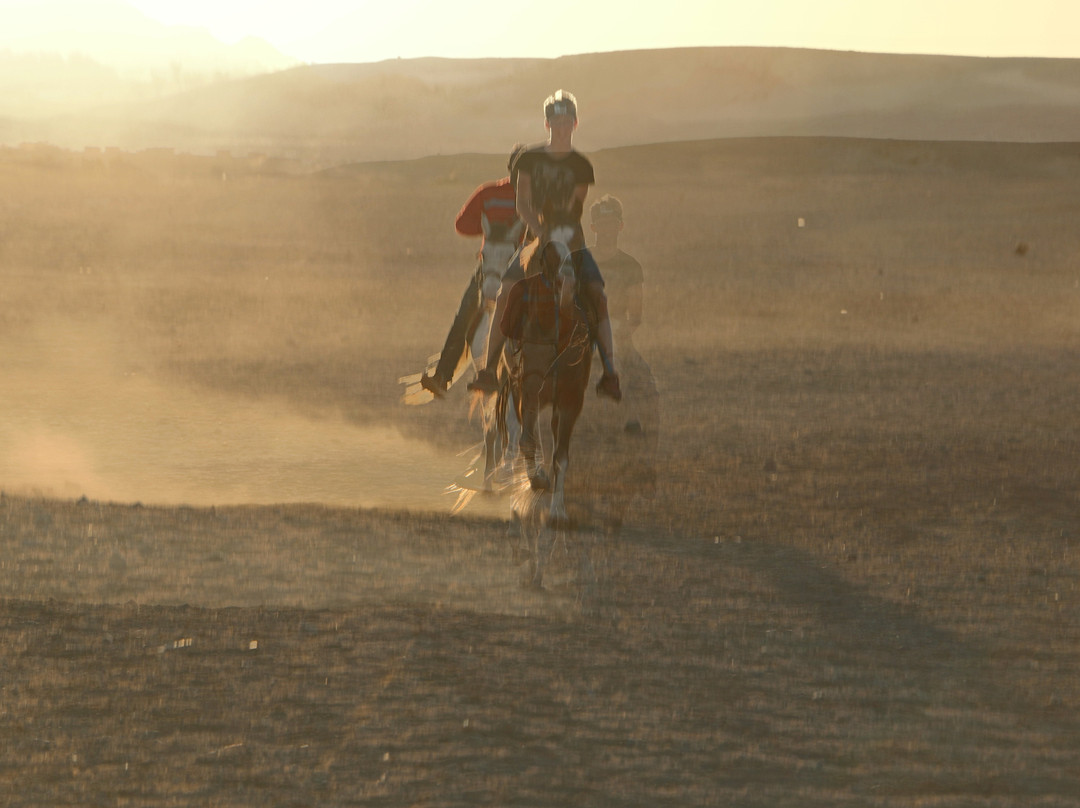 Hurghada Equestrian-马卡迪湾必去景点