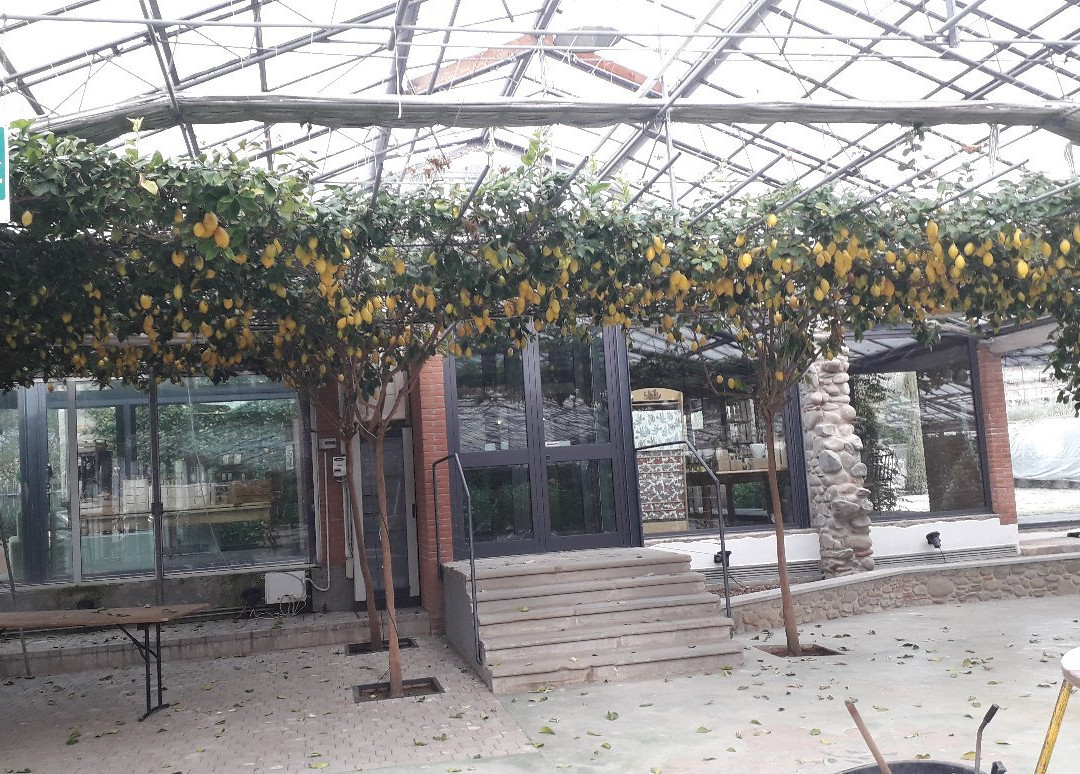 Hesperidarium - Il Giardino degli Agrumi景点图片
