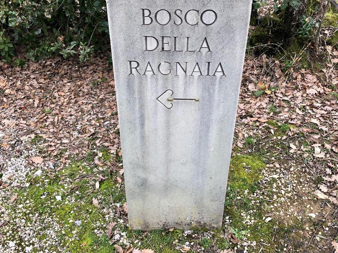 Bosco Della Ragnaia景点图片