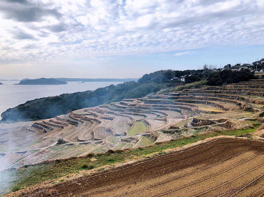 Doya Terraced Rice Field景点图片