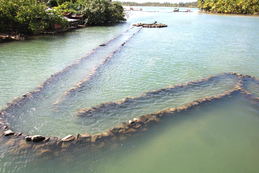 Huahine Land Safari Tour-Fare必去景点