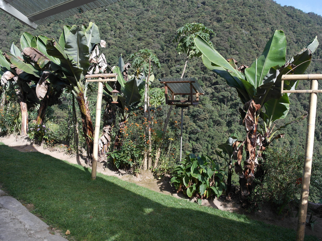 Tambo Tanda-基多必去景点