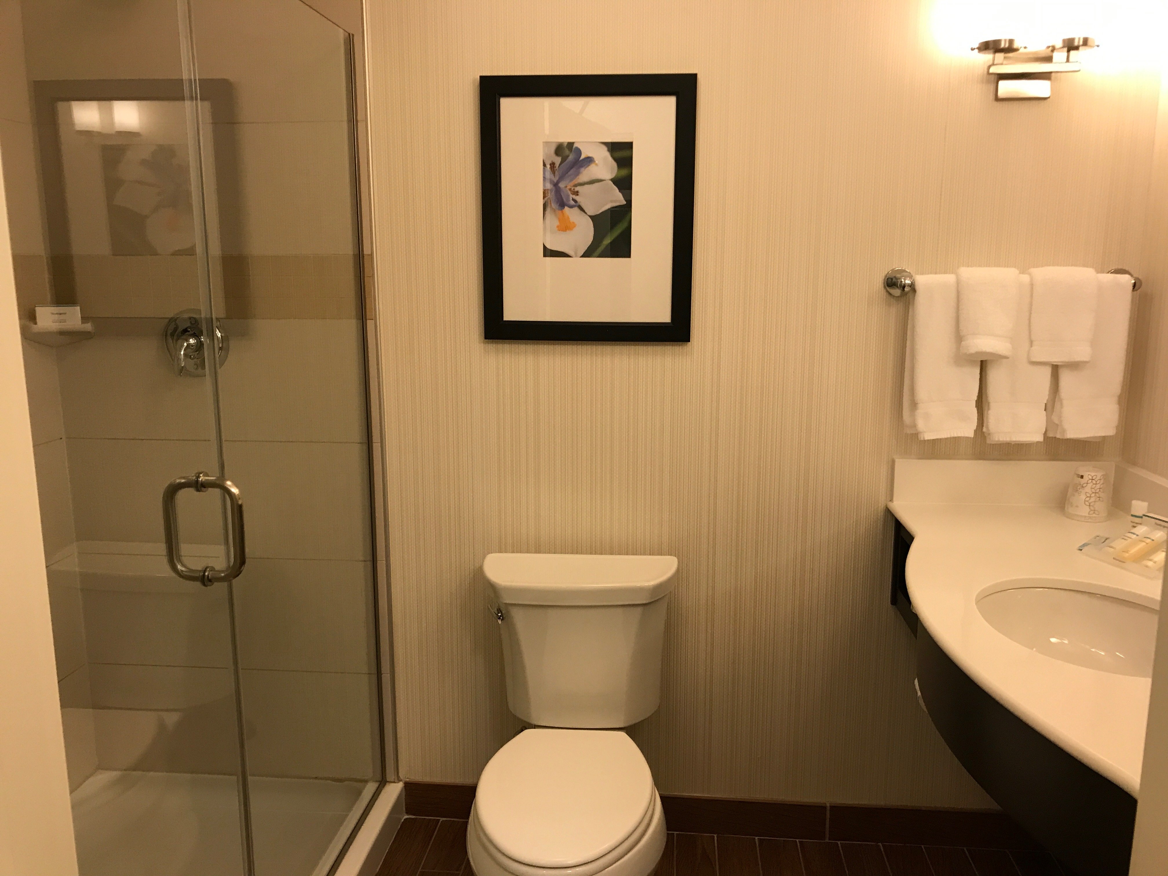 Hilton Garden Inn Wayne-浴室
