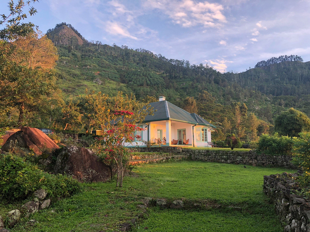 Haldummulla Estate