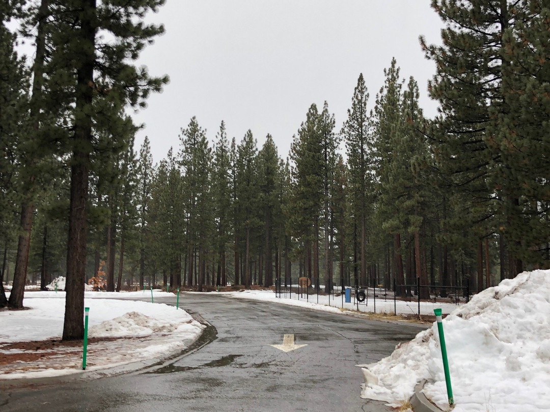 Bijou Community Park - Disc Golf-南太浩湖必去景点