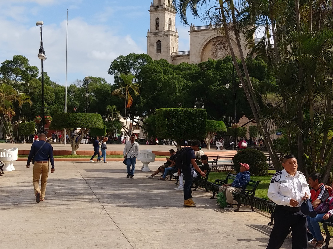 Cathedral de Mérida景点图片
