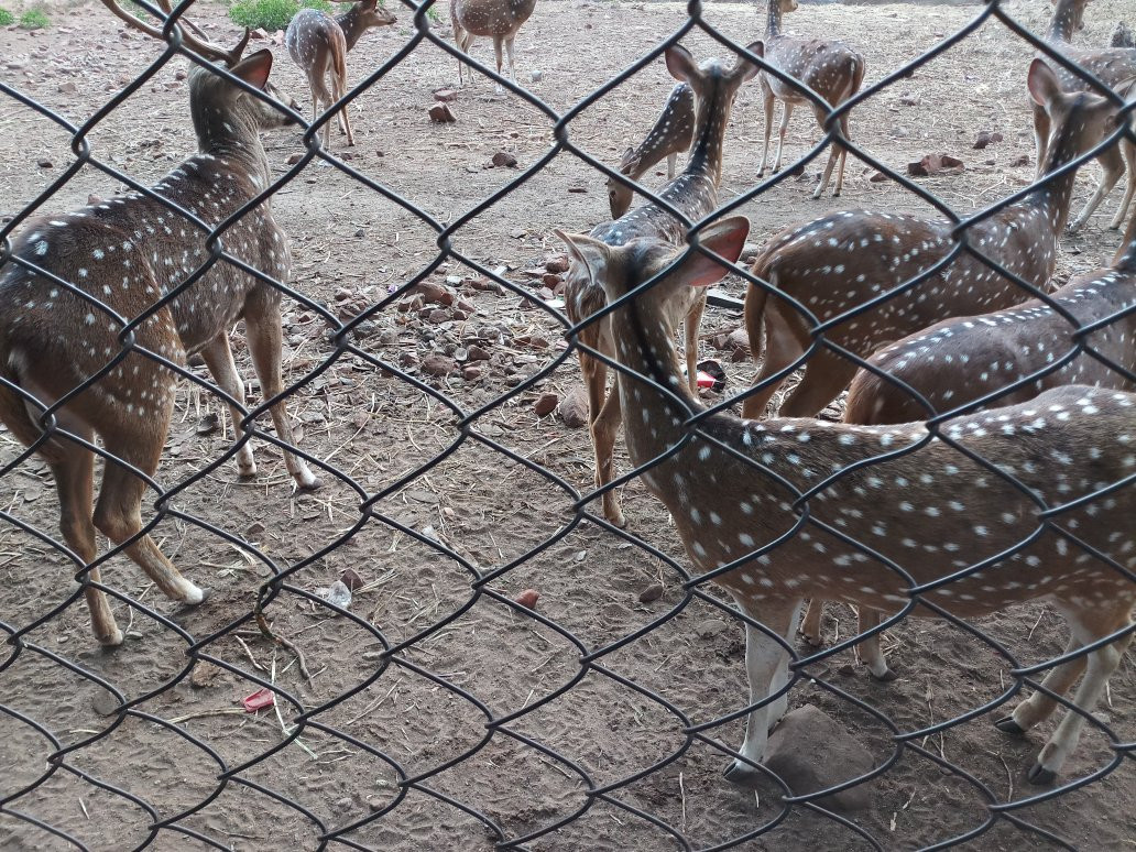 Deer Park景点图片