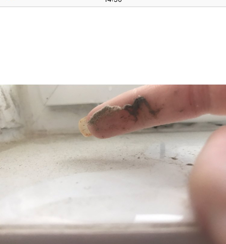 卡斯特迪洛迪酒店主图