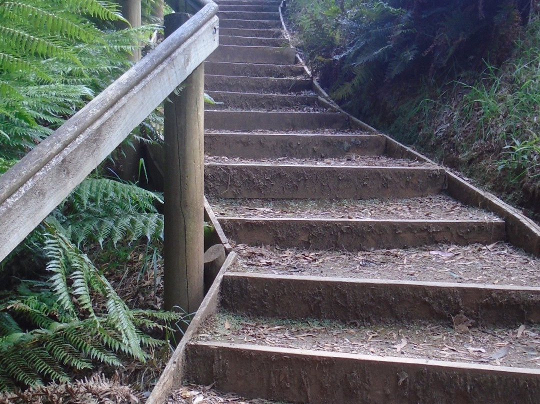 Preston Falls-Ulverstone必去景点