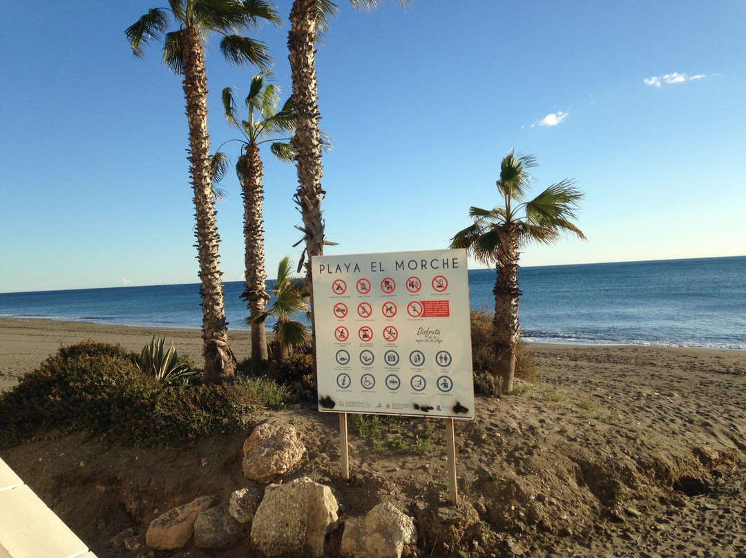 Playa El Morche景点图片