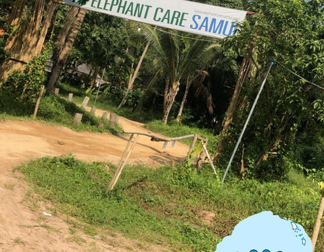 Koh Samui Tour & Transportation-查汶海滩必去景点