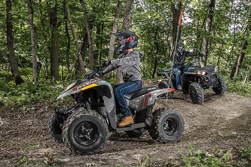 Himalayan Adrenaline-Palampur必去景点