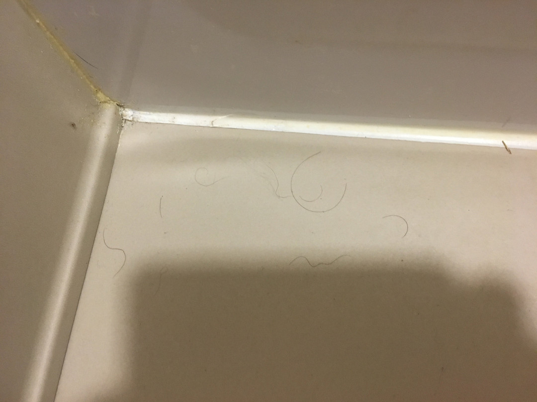 Residence Inn by Marriott Louisville East主图