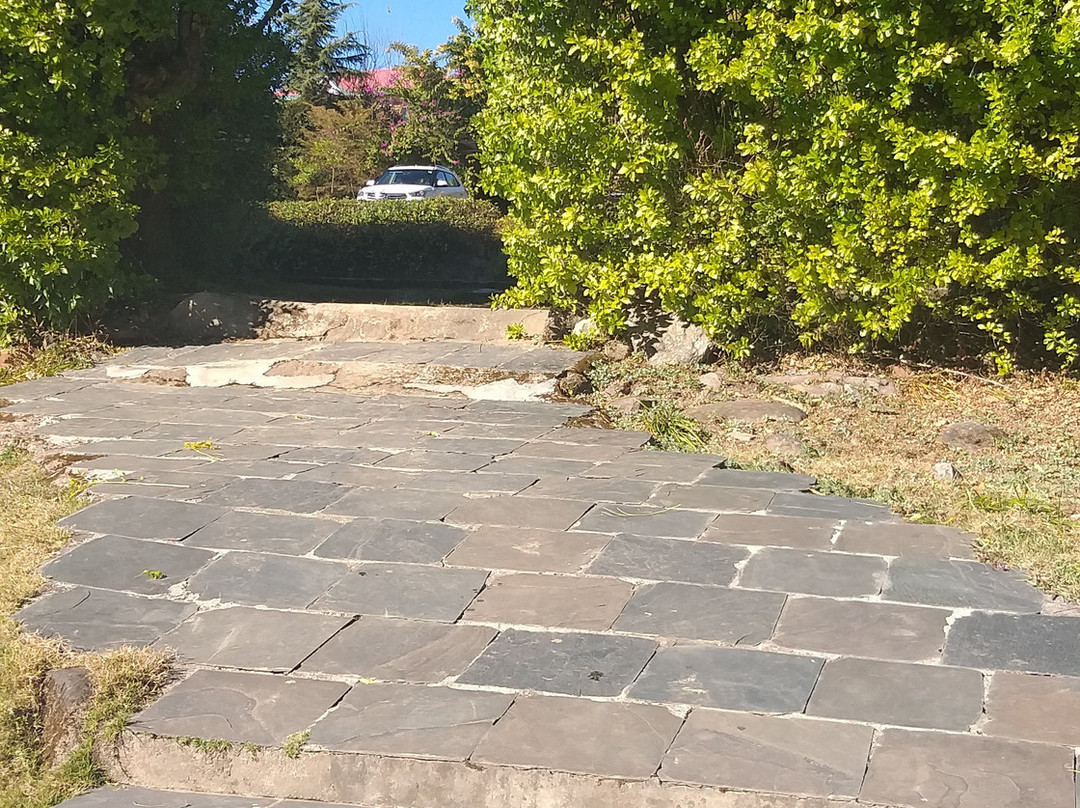 Colonel's Resort主图