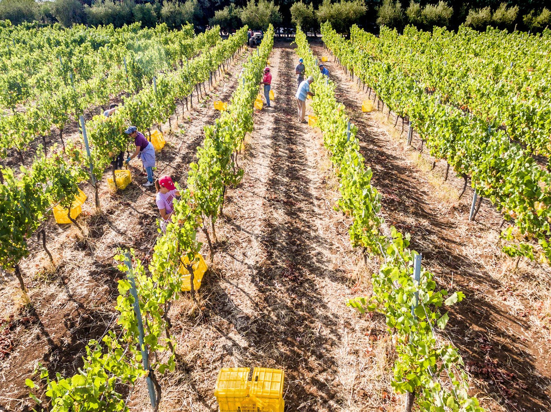 Casa di Baal-Montecorvino Rovella必去景点