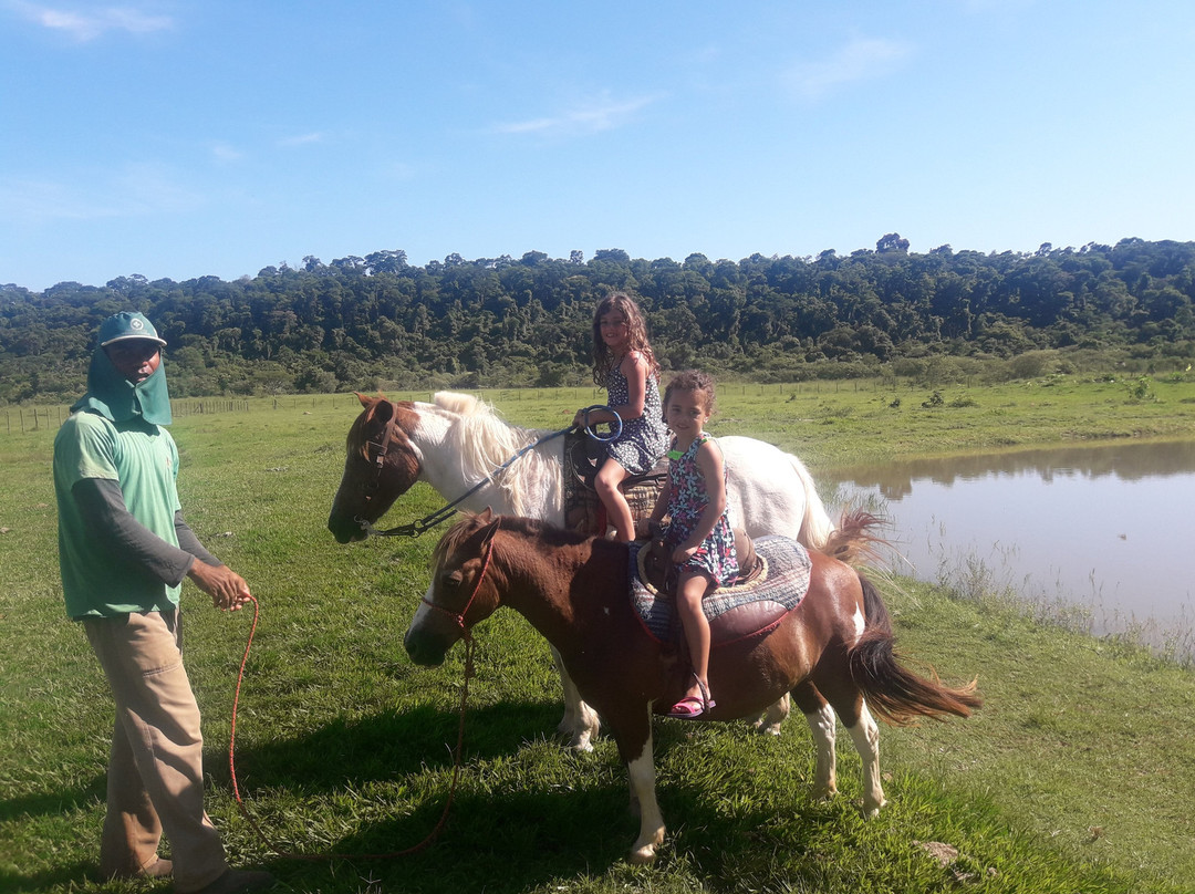 Sitio Castelinho主图