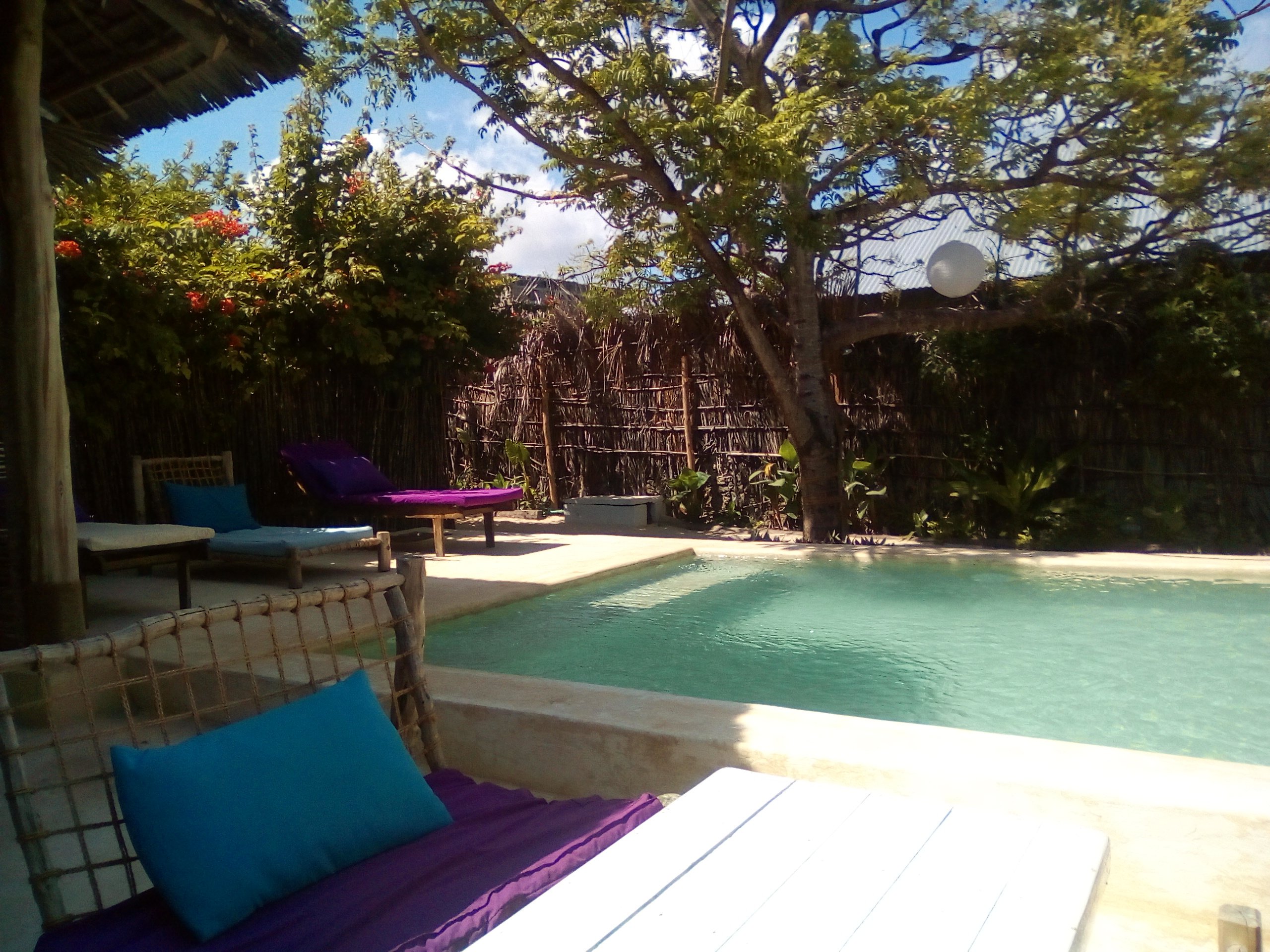 Zanzistar Lodge-泳池