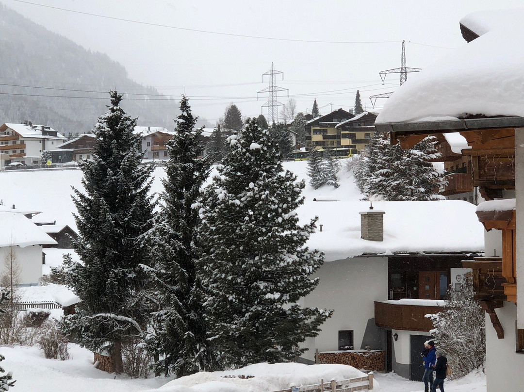 Hotel Pettneuerhof主图