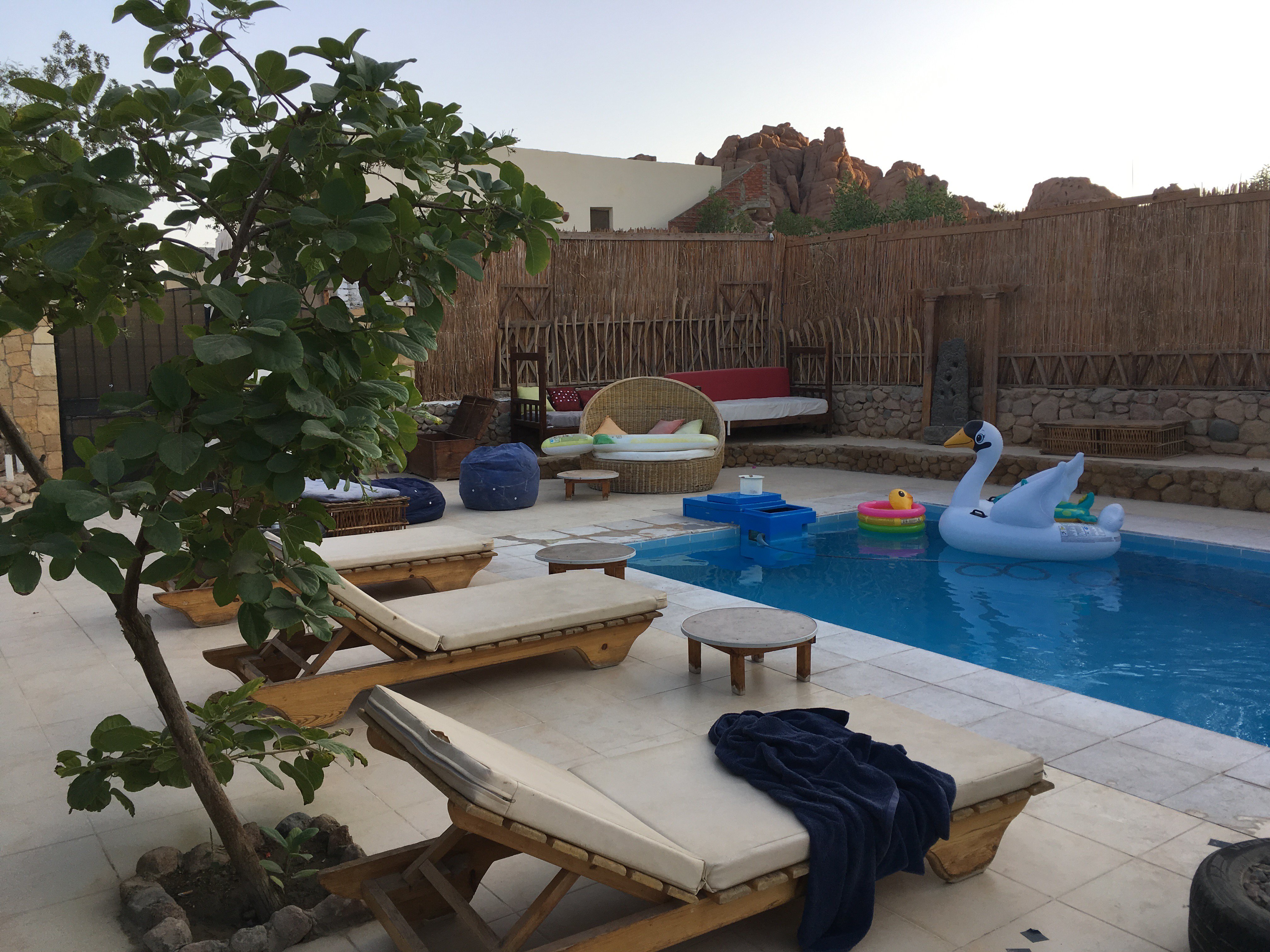 Sinai Old Spices B&B-泳池