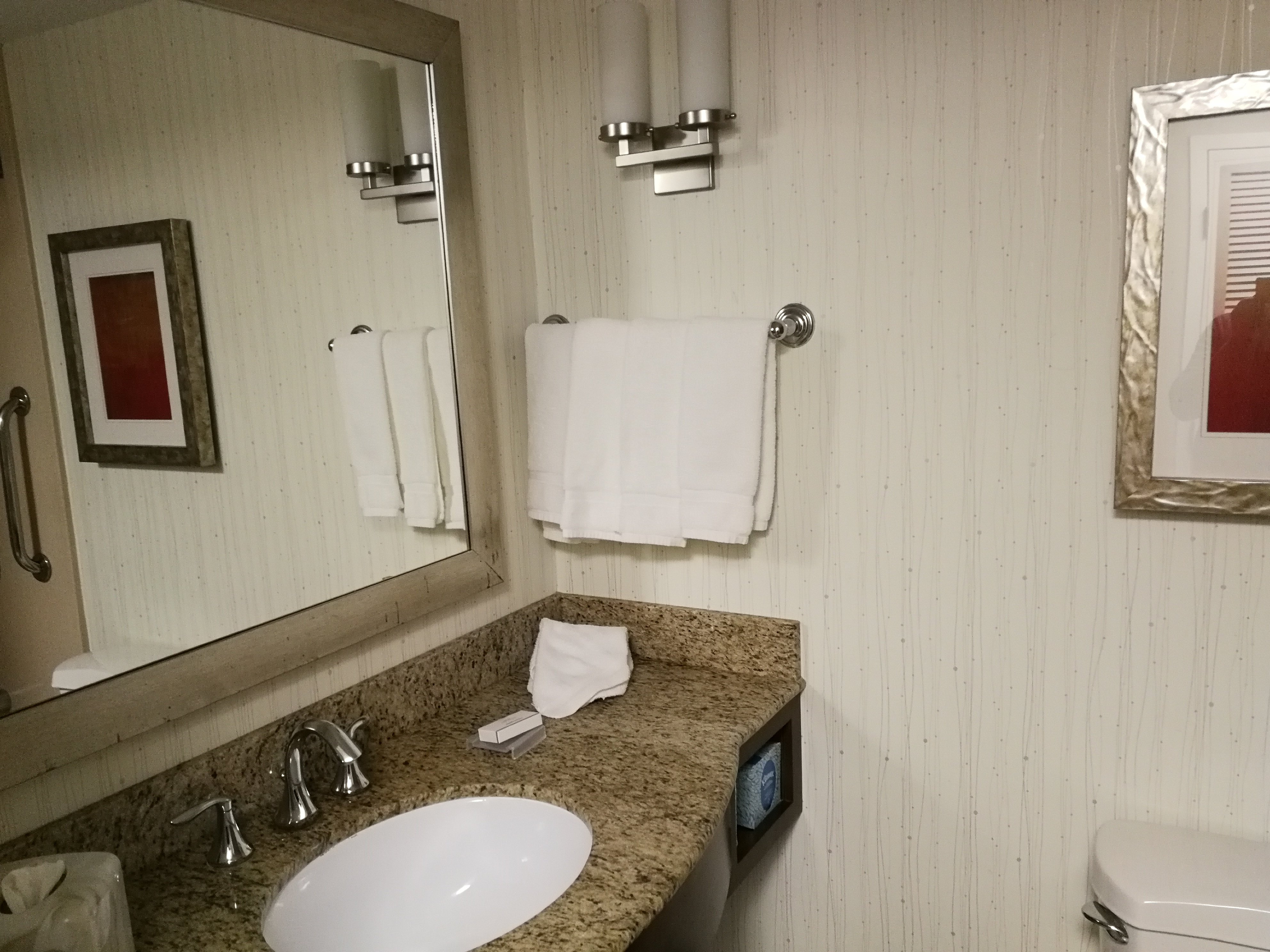 圣马特奥希尔顿花园假日酒店-浴室