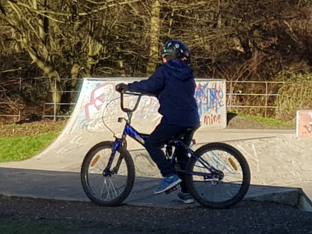 Dearne Valley Park景点图片