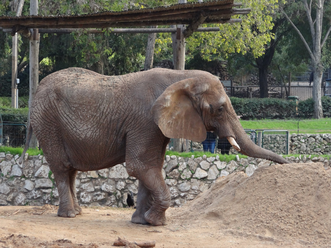 Zoological Center-拉马干必去景点