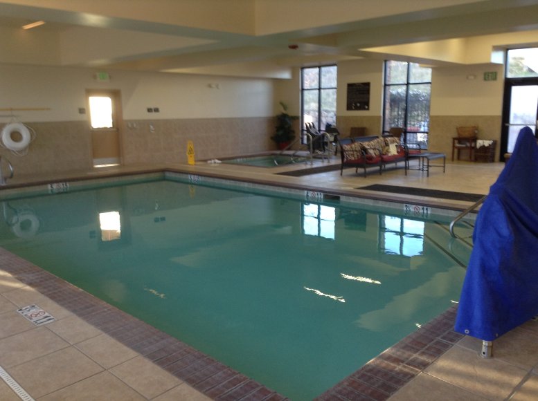 福尔瑟姆希尔顿恒庭旅馆&套房酒店-泳池