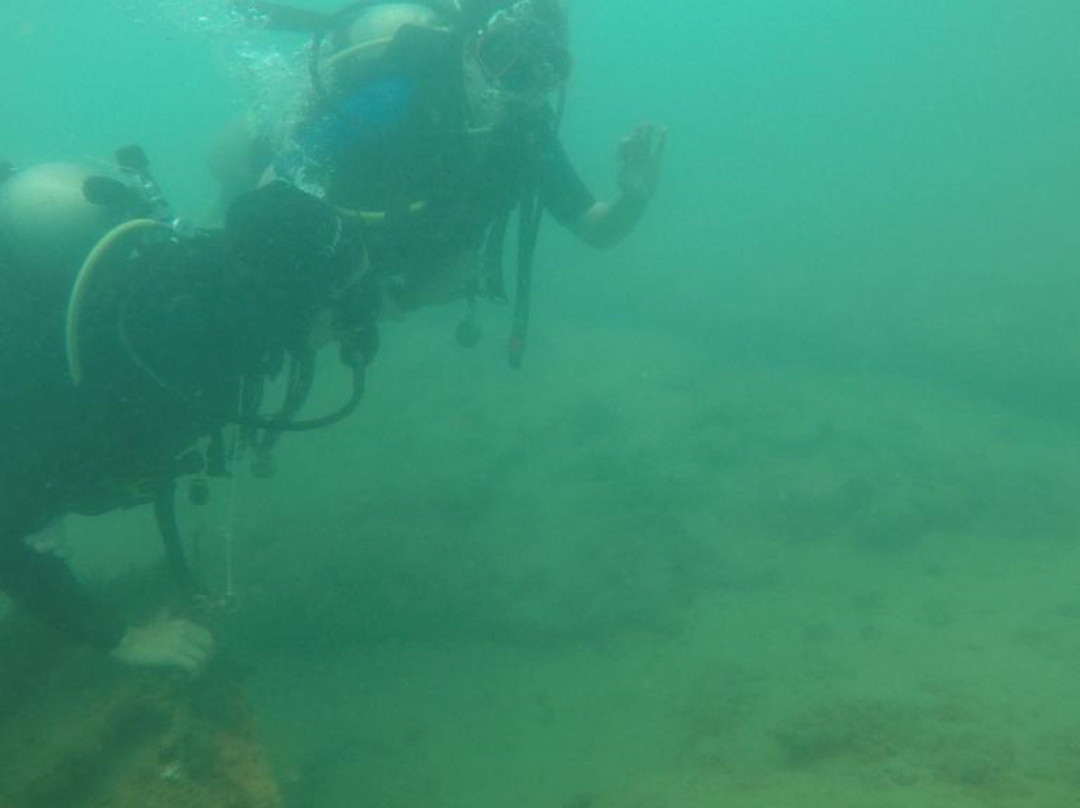 Ecoscuba Centro de Mergulho-Maceio必去景点