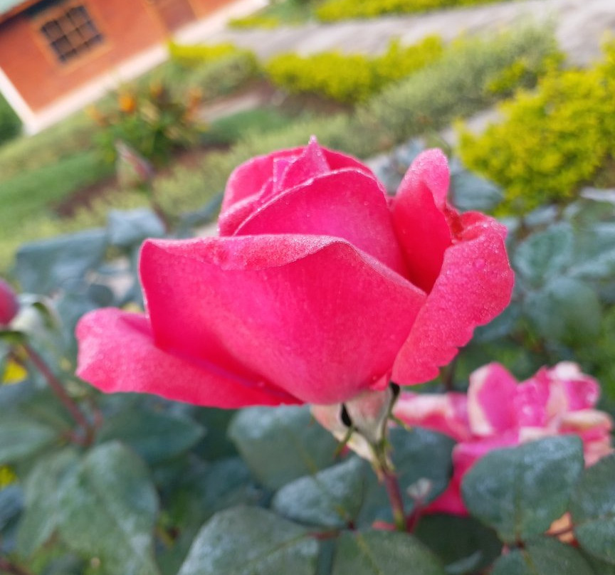 Hotel restaurante Romerias主图