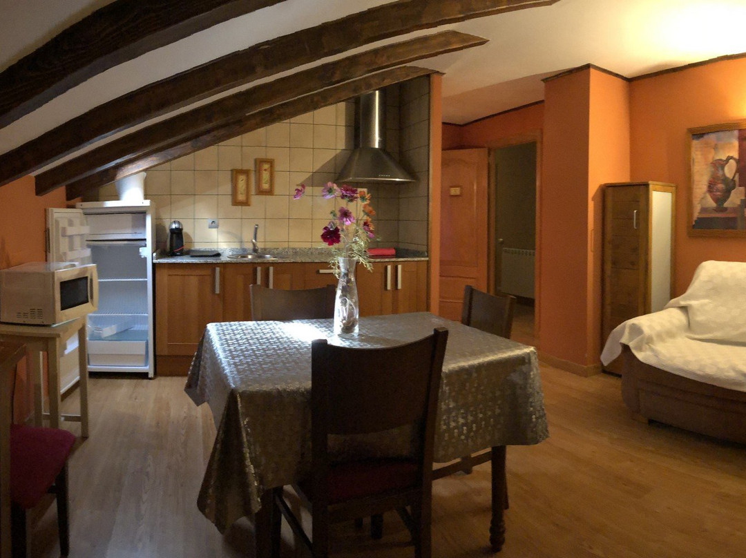 HOTEL APARTAMENTOS BARRAU主图