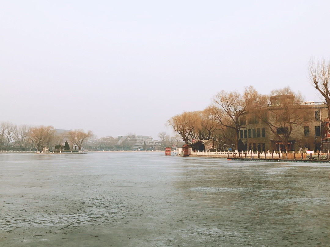 荷花市场-北京市必去景点