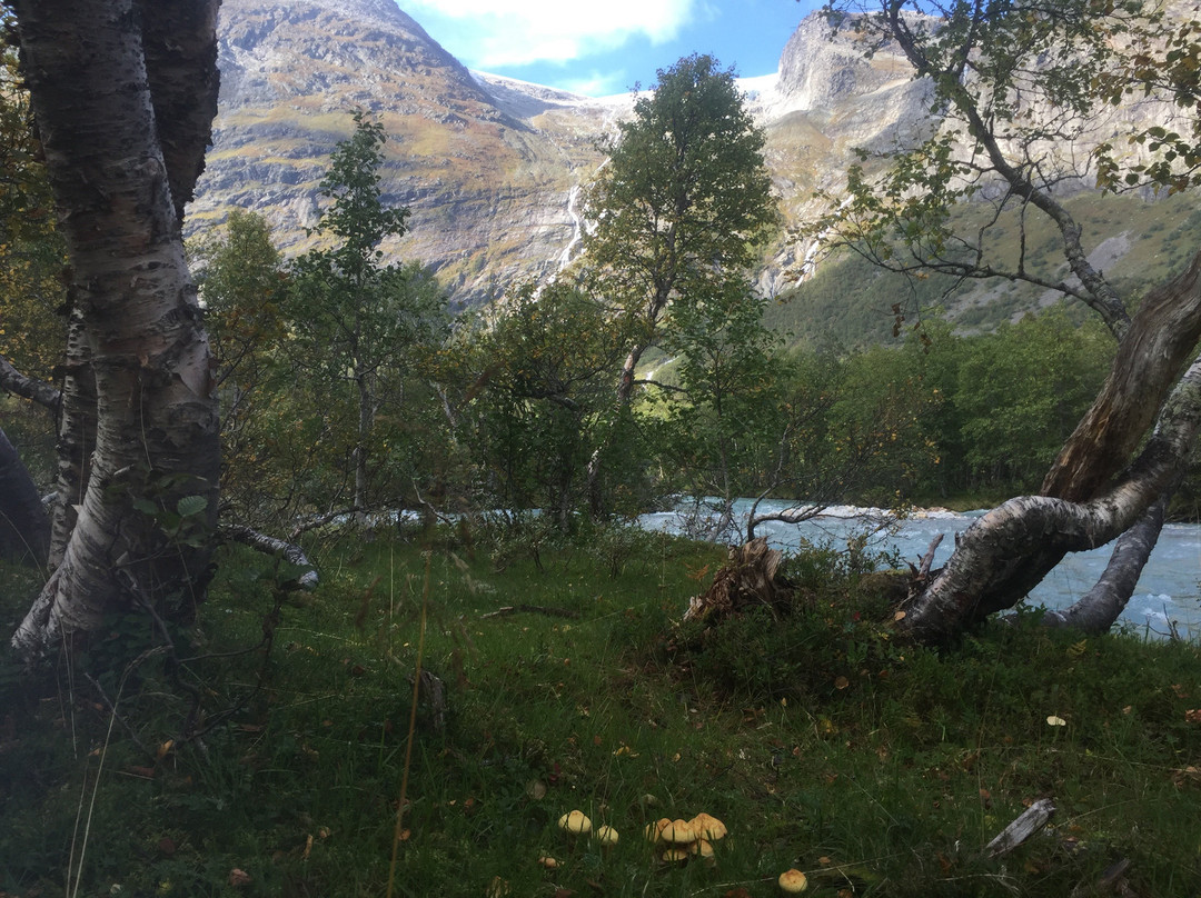 Bodalsbreen-罗恩必去景点