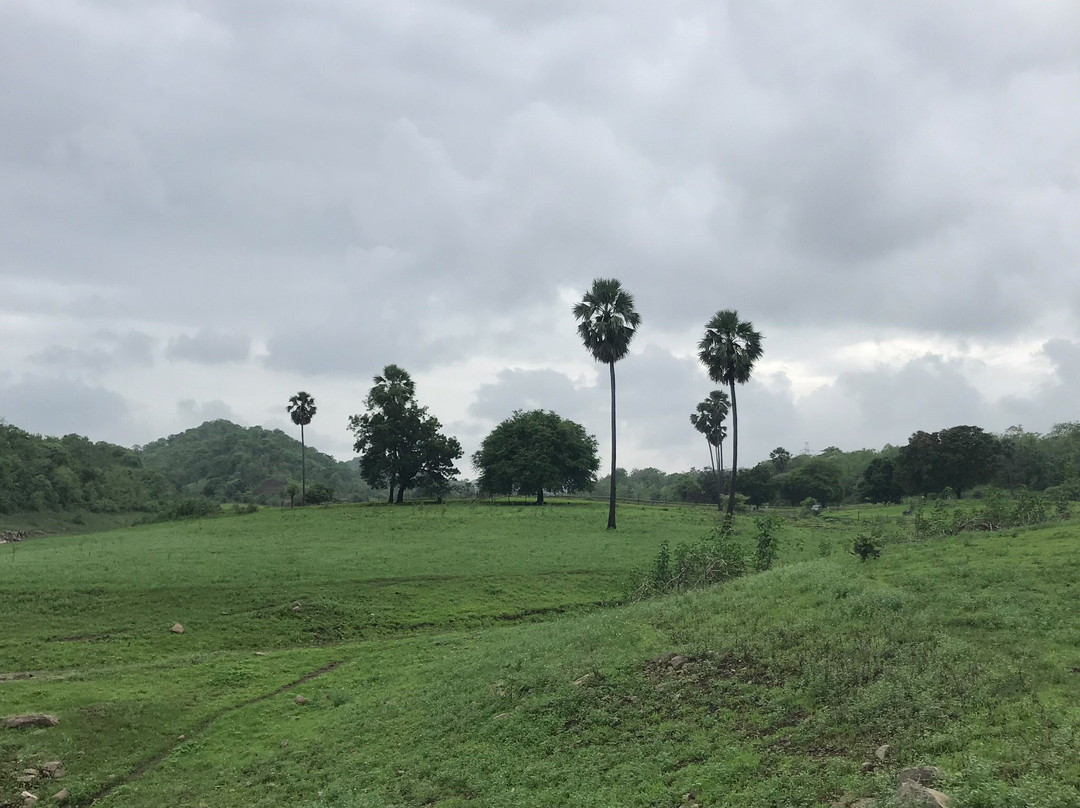 Vishal Khadi Eco Tourism Centre景点图片