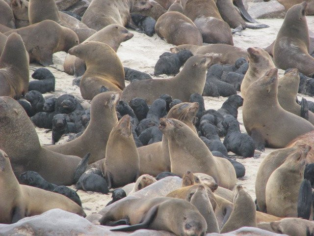 Kallisto Tours-斯瓦科普蒙德必去景点