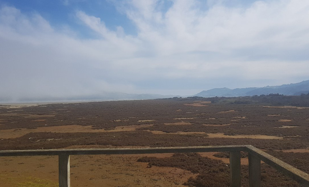 Aramoana Domain-但尼丁必去景点