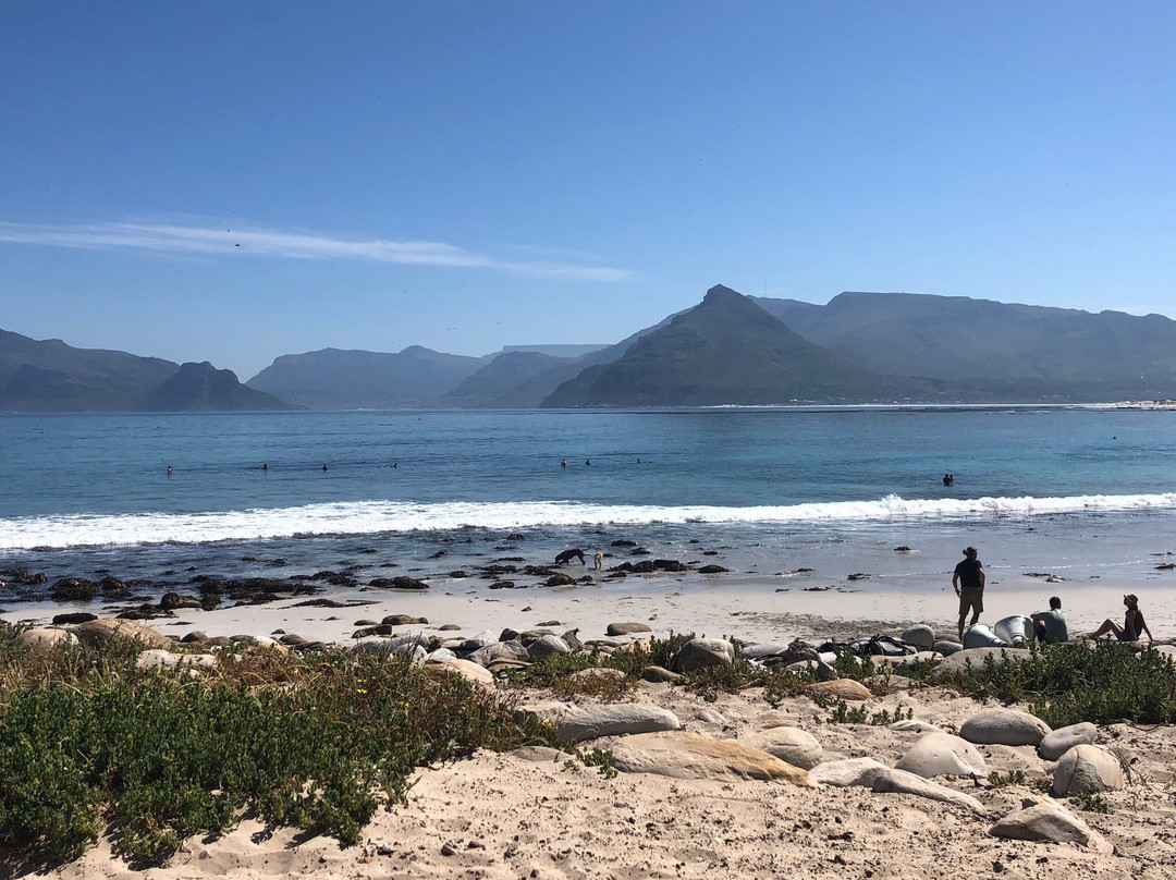 Baboon Matters-Kommetjie必去景点