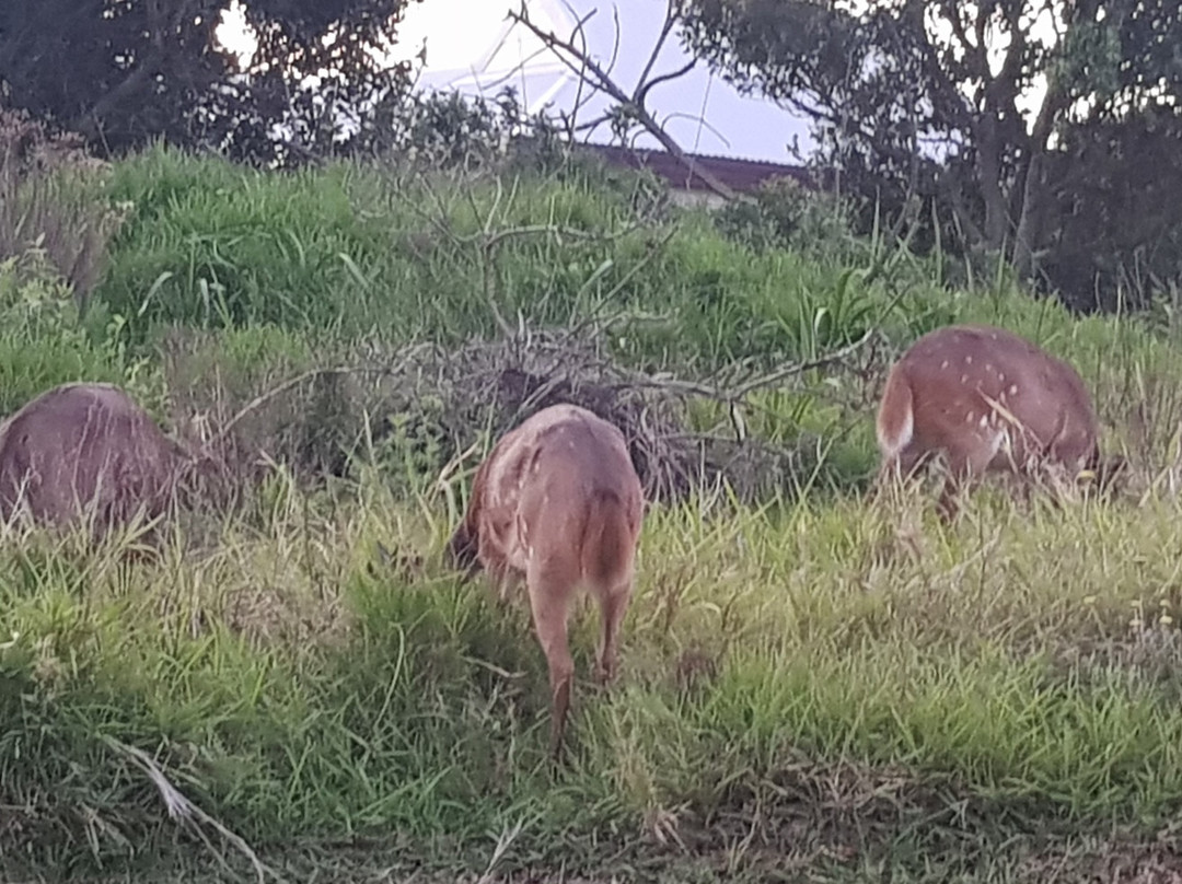 Prince's Grant Golf Course-Stanger必去景点