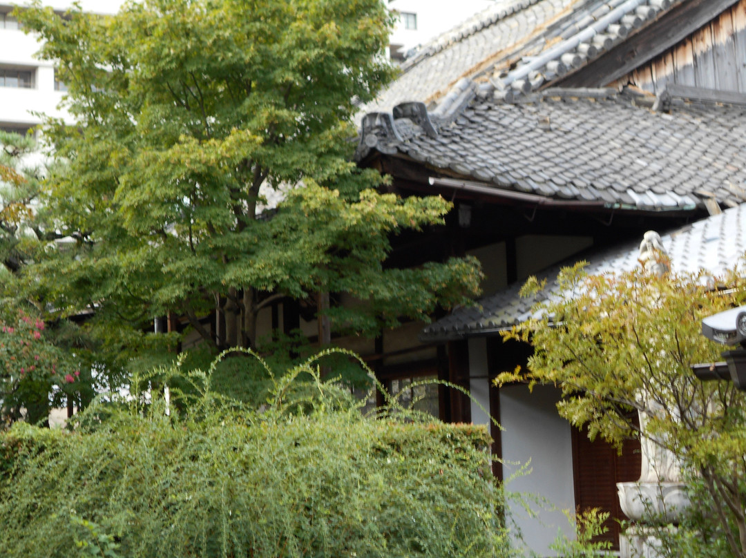 Denko-in Temple-大津市必去景点