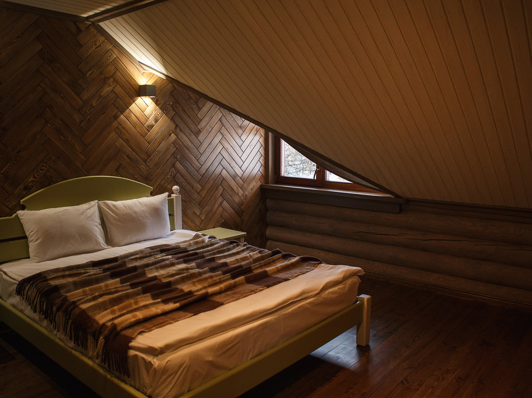 Active Hotel Gorki主图