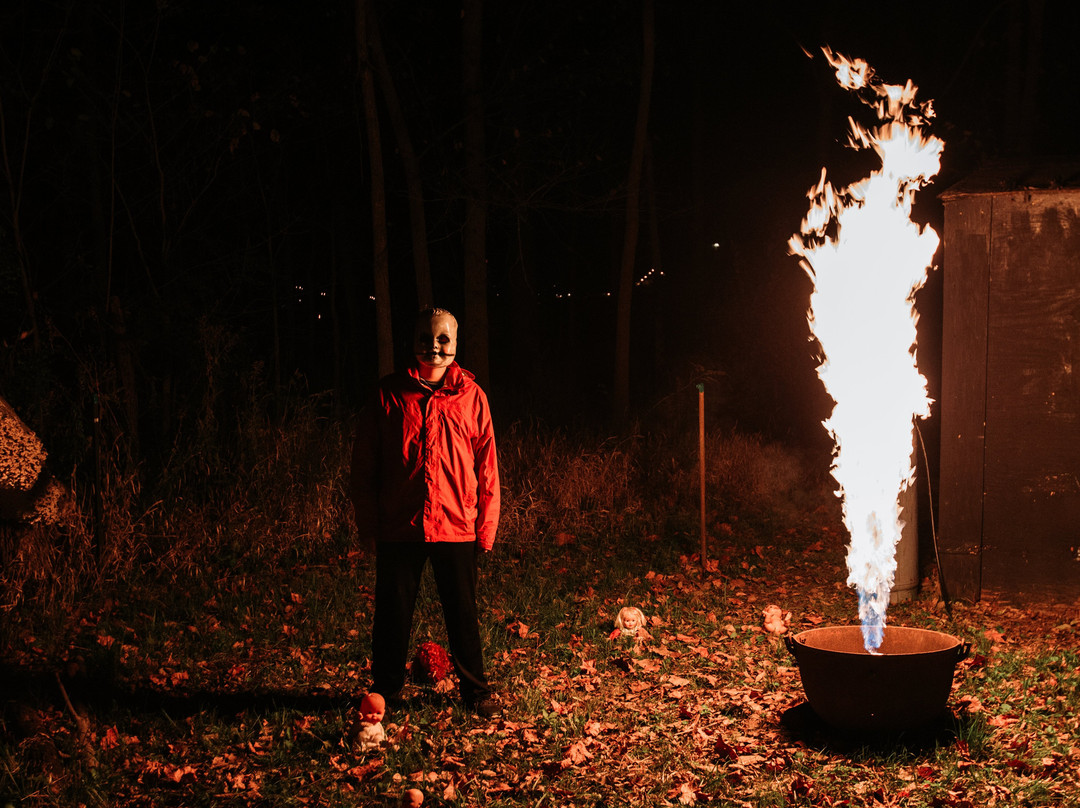 The Haunted Castle and Black Forest-韦恩堡必去景点