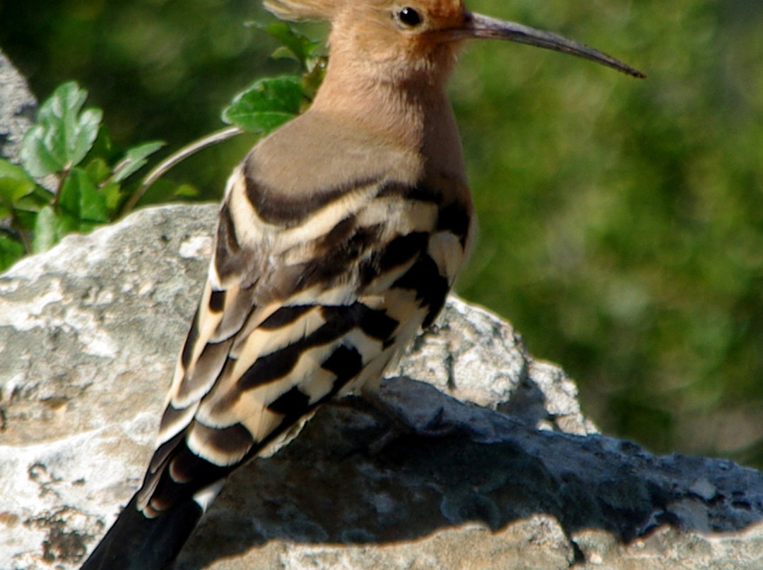 Greece on Foot-Tyros必去景点