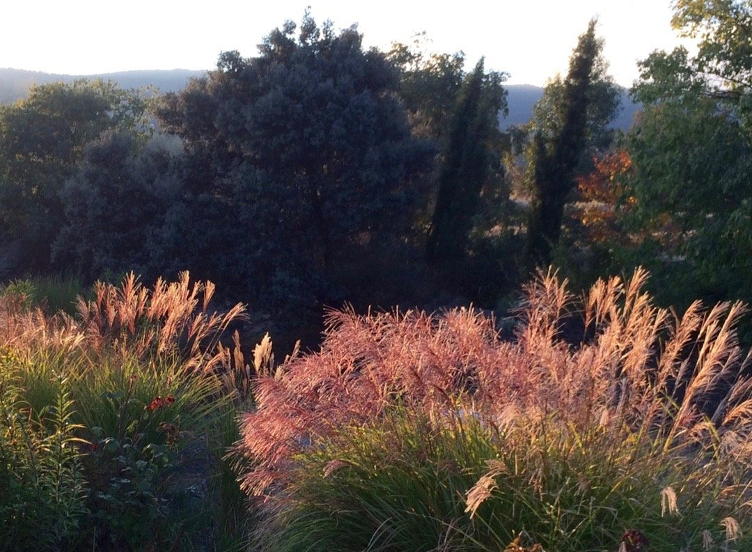 Jardin de la Alpujarra景点图片