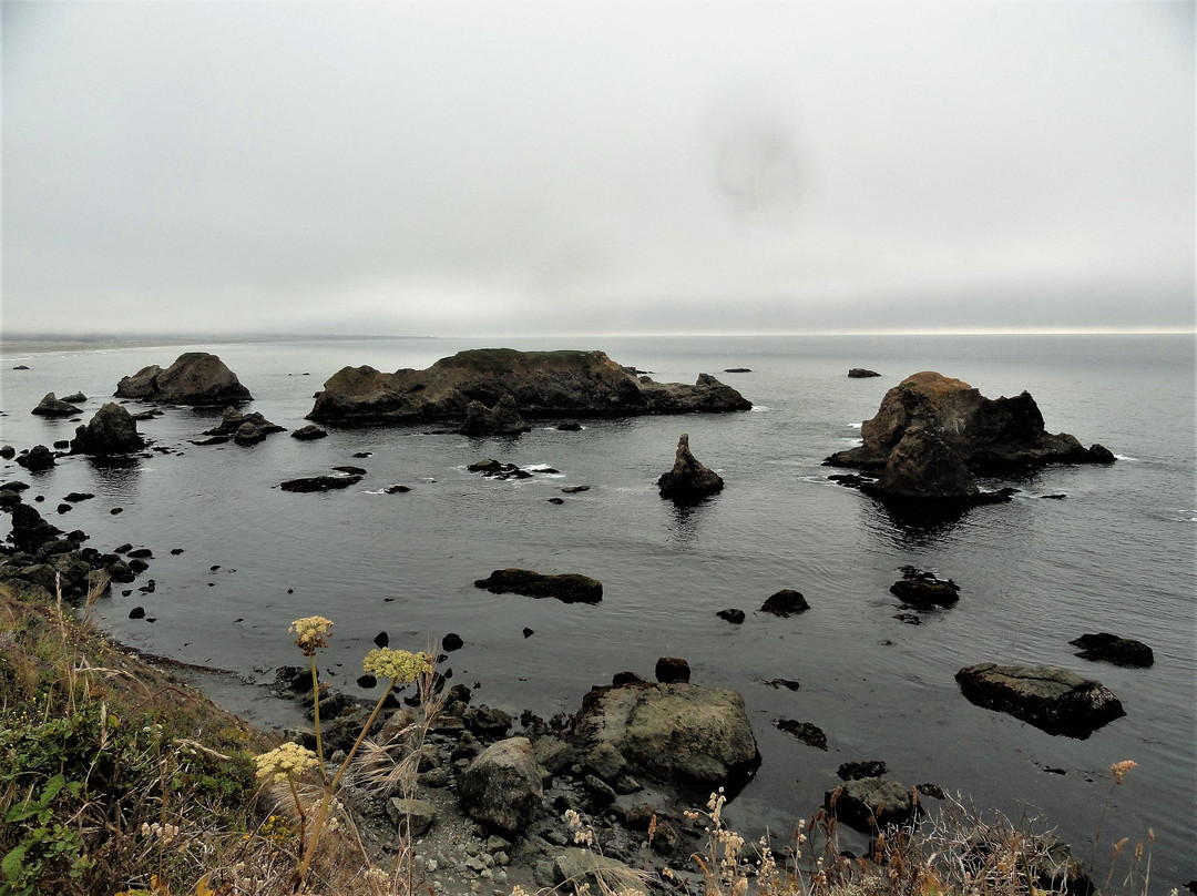 Westport-Union Landing State Beach景点图片