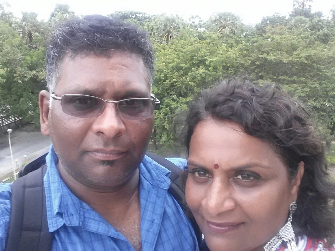 Dune Adventures-Brenton-on-Sea必去景点