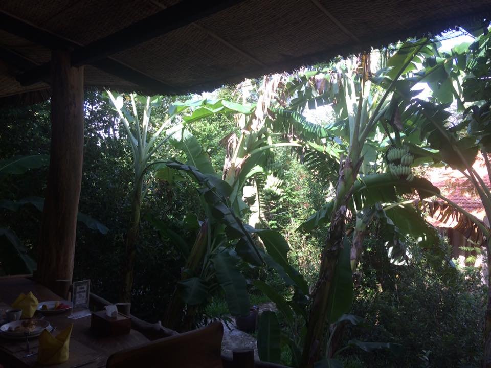 Valley Village Phu Quoc-餐饮