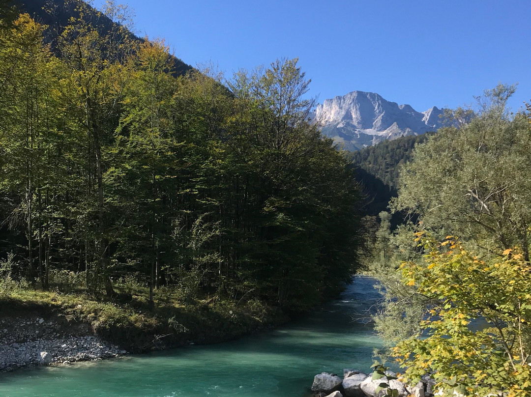 Deutsche Alpenstrasse-林道必去景点