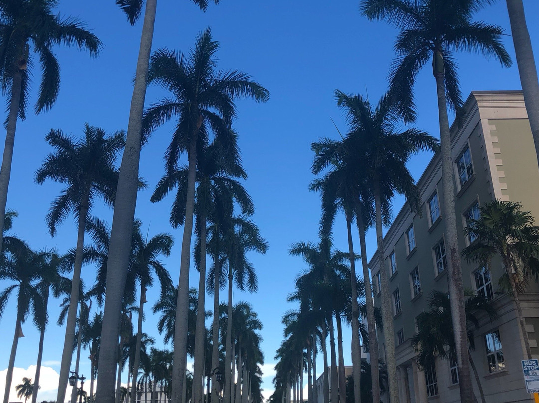 Hampton Inn West Palm Beach Central Airport主图