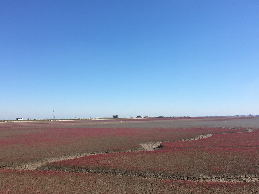 盘锦湖滨公园-盘锦市必去景点